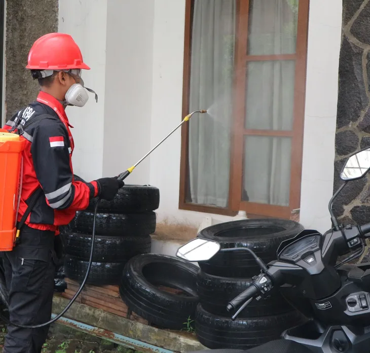 Pest control SEO experience in Dubai